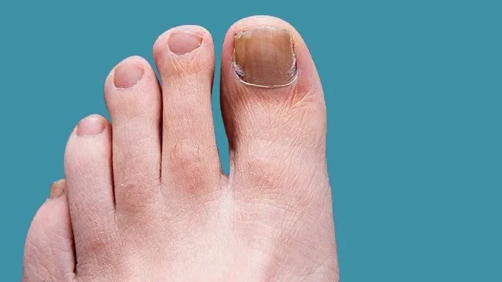 Dr merritz : složení pouze přírodní složky.