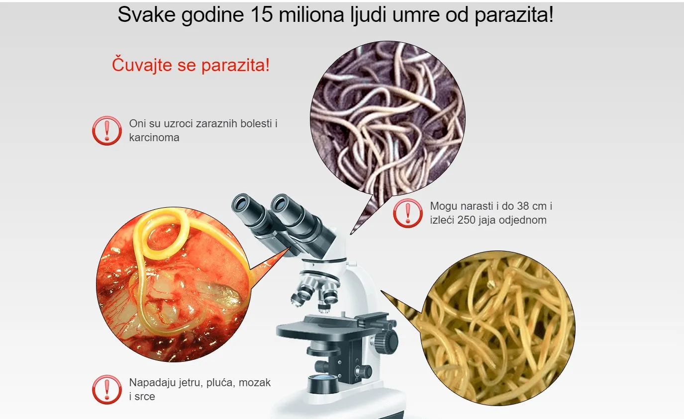 Vermixin lékárna, cena, kde koupit levné, co to je, kde objednat, Česko, recenze.